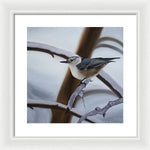 Load image into Gallery viewer, Nuthatch - Framed Print
