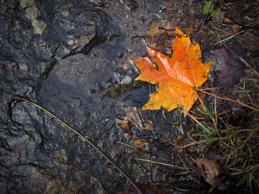 Autumn’s Arrival – Fall in North Bay