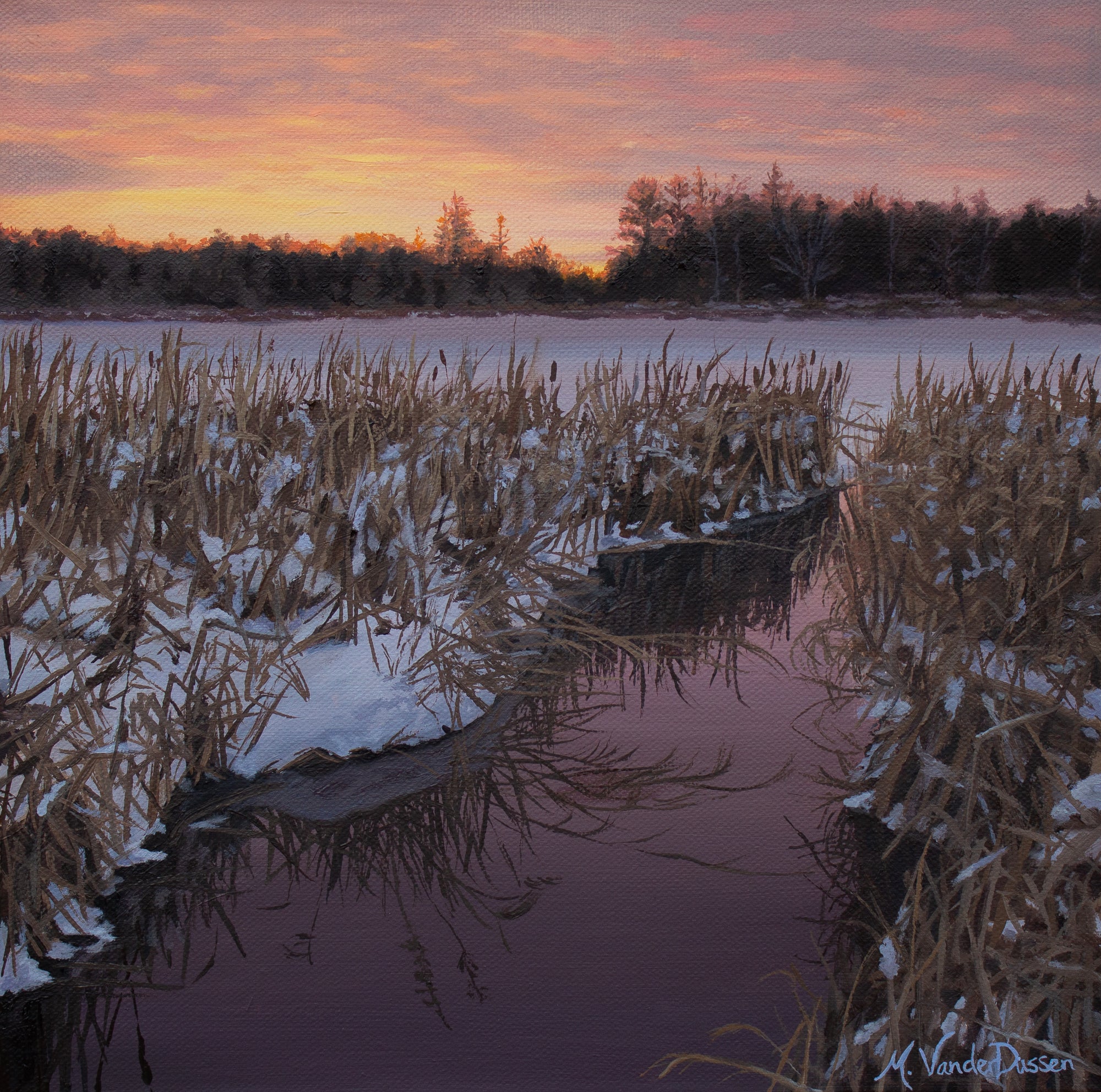 Sqft Show 1/12 - Marshlight