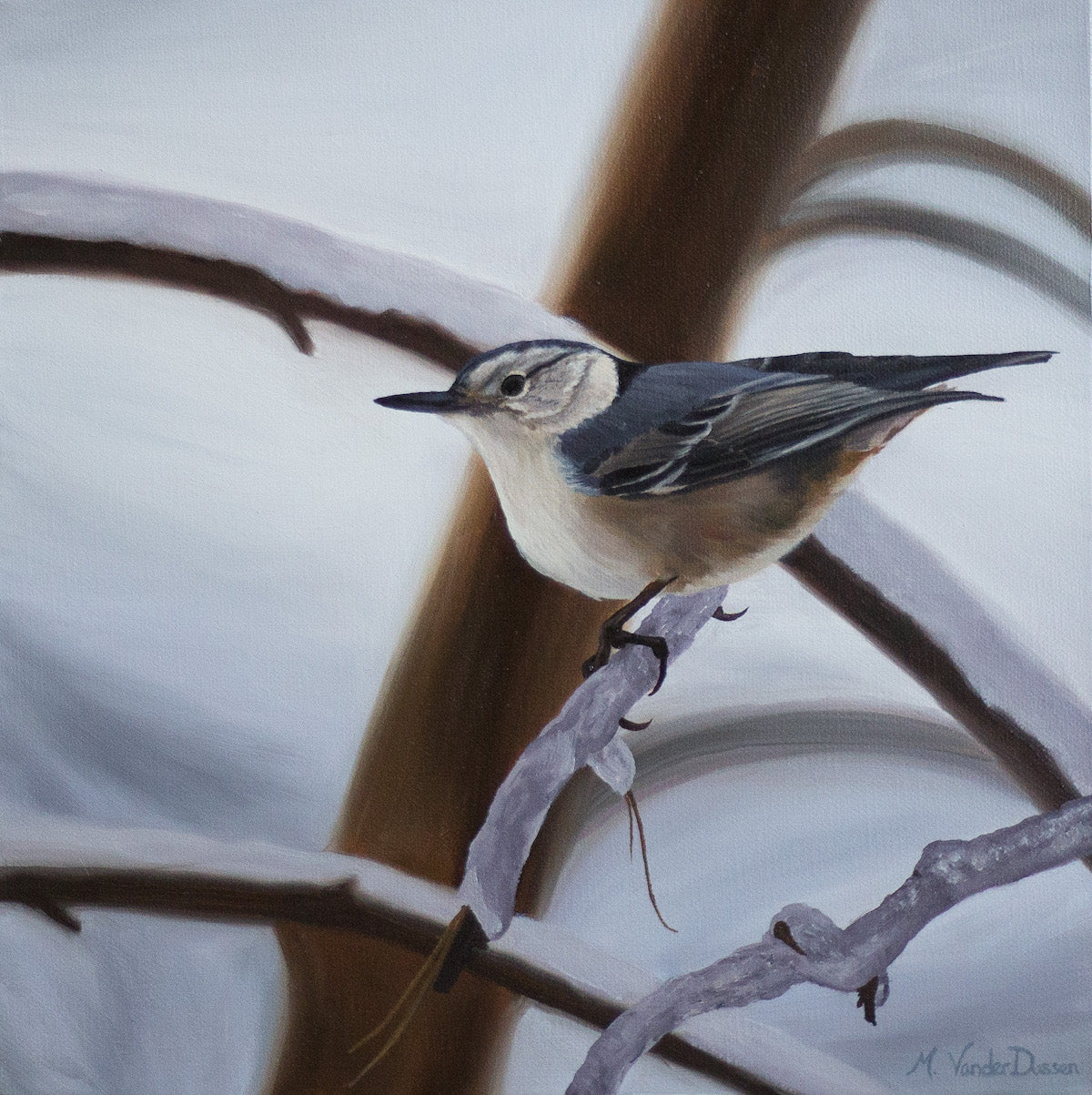 Nuthatch