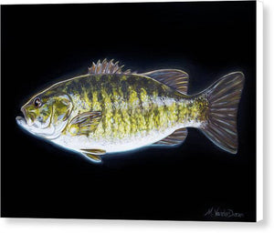All About That Bass - Canvas Print