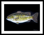 Load image into Gallery viewer, All About That Bass - Framed Print
