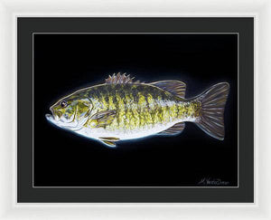 All About That Bass - Framed Print