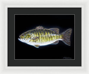 All About That Bass - Framed Print