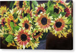 Load image into Gallery viewer, Helianthus - Canvas Print
