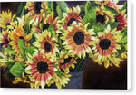 Load image into Gallery viewer, Helianthus - Canvas Print
