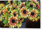 Load image into Gallery viewer, Helianthus - Acrylic Print
