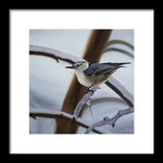 Load image into Gallery viewer, Nuthatch - Framed Print
